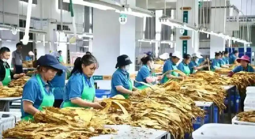 饿了?拉门斯被拍到在比利时替补席啃苹果